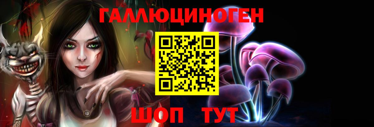Псилоцибиновые грибы Cubensis Сочи